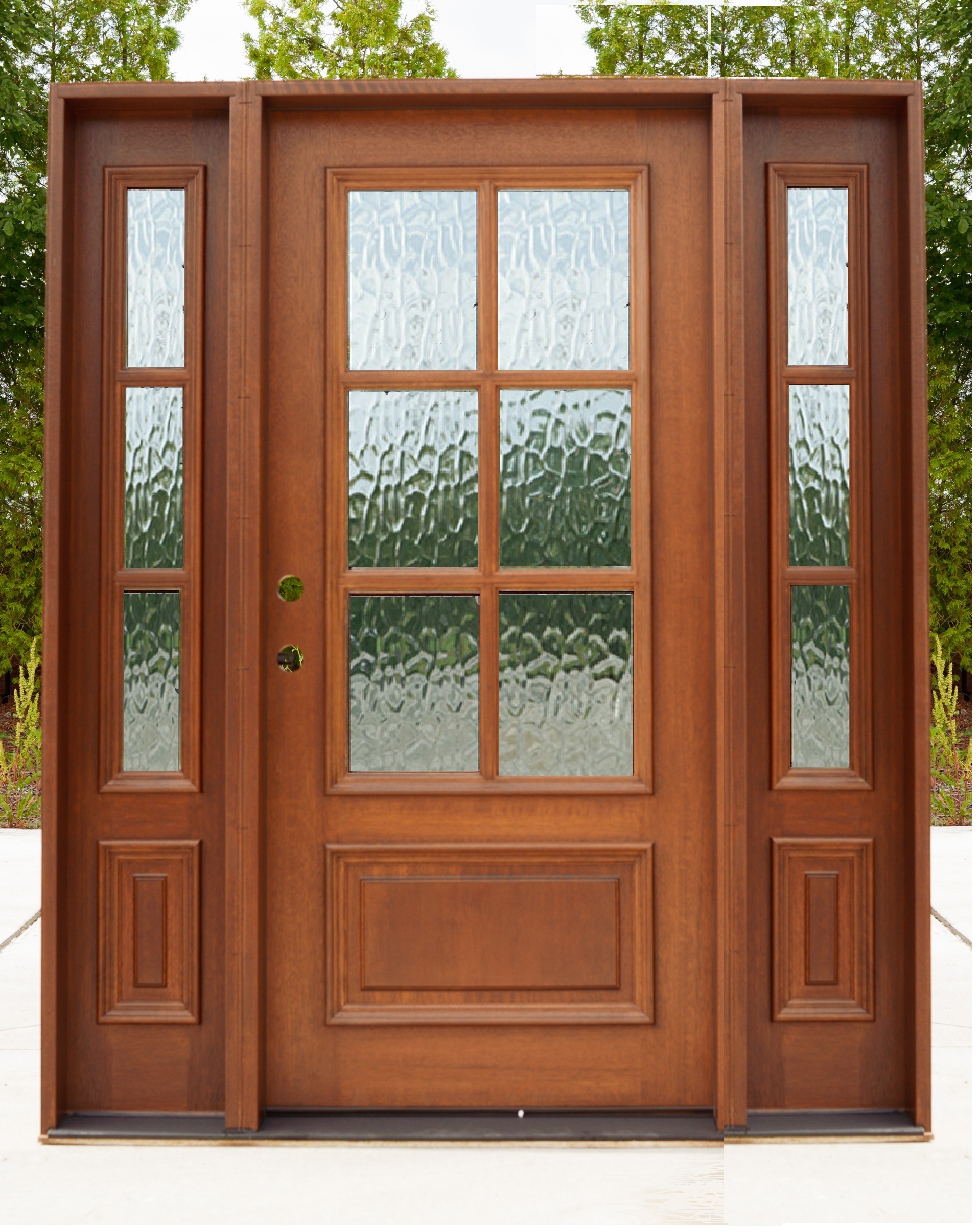 DD6-Lite with 3-Lite Sidelights
