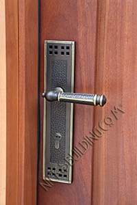 Security Door in Mahogany Door Lever