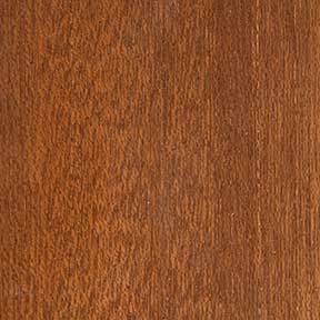 Meranti door stained with Golden Oak finish