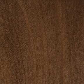 Poplar interior door stained with Special Walnut finish