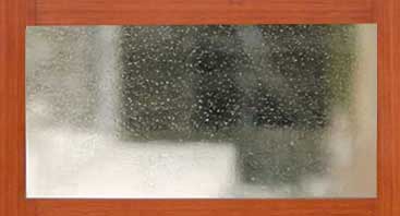 Seedy Glass