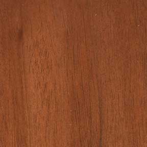 Exterior teak door stained with Colonial Maple finish