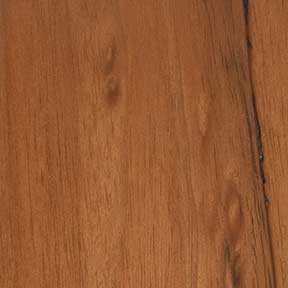 Exterior teak door stained with Golden Oak finish